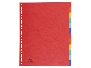 Regiszter, karton, A4+, 12 részes, EXACOMPTA, színes