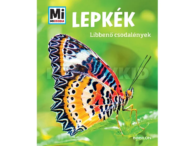 RÖNDIGS, NICOLE: LEPKÉK - LIBBENŐ CSODALÉNYEK - MI MICSODA