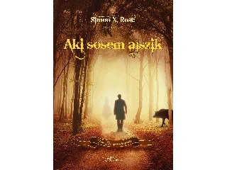 ROST, SIMON X.: AKI SOSEM ALSZIK - TOM SAWYER VISSZATÉR