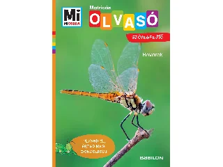 ROVAROK - MATRICÁS SZÖVEGFEJTŐ - MI MICSODA OLVASÓ