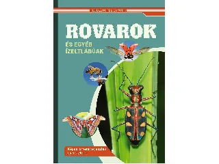 ROVAROK ÉS EGYÉB ÍZELTLÁBÚAK - FEDEZZÜK FEL EGYÜTT!