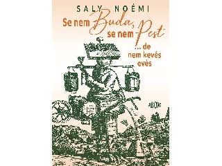 SALY NOÉMI: SE NEM BUDA, SE NEM PEST...DE NEM KEVÉS EVÉS