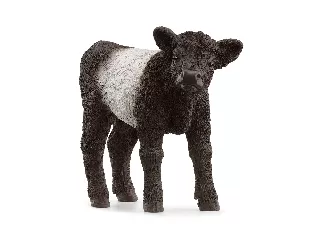 SCHLEICH 13969 GALLOWAY BORJÚ