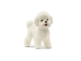 Schleich Bichon Frisé kutya