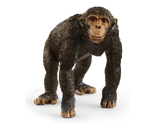 Schleich Csimpánz