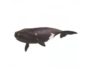 Schleich: Észak-Atlanti kisbálna figura 14878