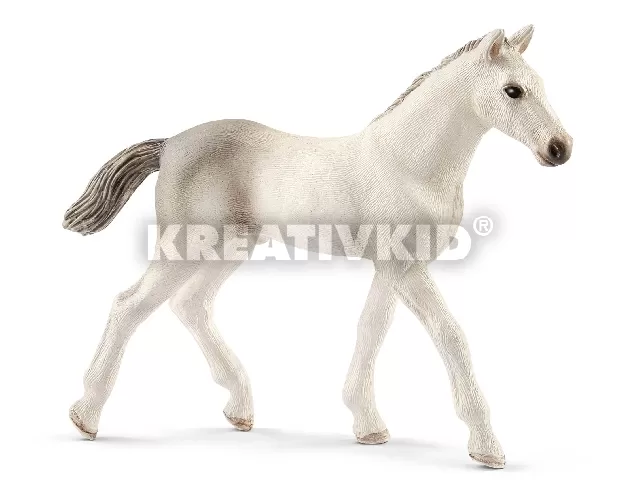 Schleich Holstein csikó