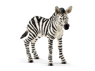 Schleich Zebra csikó