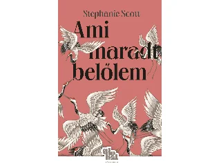 SCOTT, STEPHANIE: AMI MARADT BELŐLEM