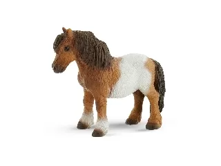 Shetland póni kanca