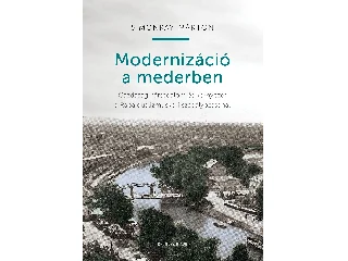 SIMONKAY MÁRTON: MODERNIZÁCIÓ A MEDERBEN