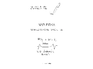 SIPOS S. GYULA: NAPI FIRKA - 100 RAJZ, 100 RÖVID TÖRTÉNETTEL