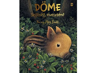 SMITH, BRIONY MAY: DÖME - SEGÍTSÉG, ELVESZTEM!