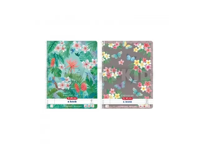 Spirálfüzet A4/80 lap, nem lyukasztott, perforált, vonalas, Ladylike