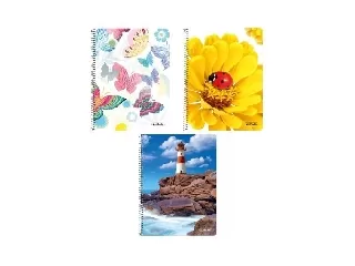 Spirálfüzet A5 / 160 lap, kockás, mintás