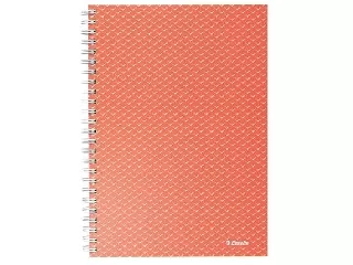 Spirálfüzet, A5, vonalas, 80 lap, ESSELTE  