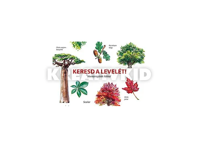 STARZINSKY, INCA: KERESD A LEVELÉT! - MEMÓRIAJÁTÉK FÁKKAL