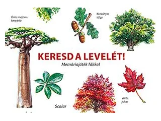 STARZINSKY, INCA: KERESD A LEVELÉT! - MEMÓRIAJÁTÉK FÁKKAL