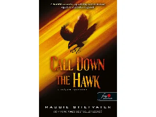 STIEFVATER, MAGGIE: CALL DOWN THE HAWK - A SÓLYOM NYOMÁBAN (ÁLMODOK-TRILÓGIA 1.)