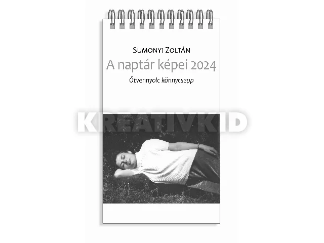 SUMONYI ZOLTÁN: A NAPTÁR KÉPEI 2024 - ÖTVENNYOLC KÖNNYCSEPP