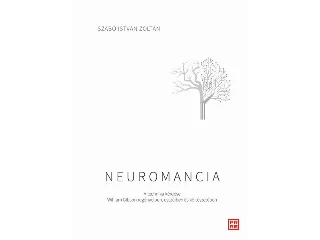 SZABÓ ISTVÁN ZOLTÁN: NEUROMANCIA - A TECHNIKA KÉRDÉSE WILIAM GIBSON REGÉNYEIBEN, ESSZÉIBEN...