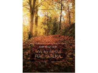 SZABÓ JÓZSEF LÁSZLÓ: BÓDI BOLDIZSÁR HAGYATÉKA