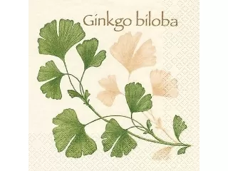 Szalvéta 33*33 cm 20 db/cs HOME Ginko biloba