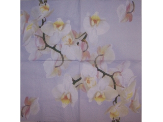 Szalvéta A la carte   33*33cm 20db 3 rétegű Orchidea