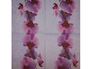 Szalvéta Avantgarde  33*33cm 20db 3 rétegű Orchidea