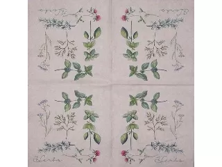 Szalvéta NOUVEAU 33*33 cm 20db/cs - Fűszer