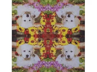 Szalvéta NOUVEAU 33*33 cm 20db/cs - Kutya