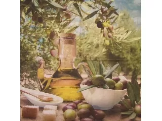 Szalvéta NOUVEAU 33*33 cm 20db/cs - Oliva