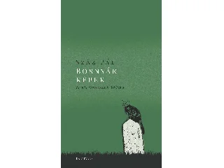 SZÁZ PÁL: BOSNYÁK KÉPEK ÉS MÁS FELJEGYZÉSEK ÚTKÖZBEN