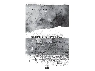 SZENTIRMAI MÁRIA: SEBEK GYÓGYÍTÁSA