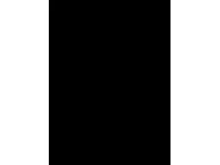 SZERKESZTETTÉK: SZILÁGYI MÁRTON, FÜLÖP D: HAMVÁBA MINT SZÁLL A ROPPANT VILÁG -  TANULMÁNYOK VÖRÖSMARTY MIHÁLYRÓL