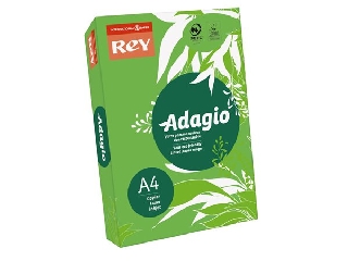Színes másolópapír, A4, 80 g, REY Adagio, 10 lap intenzív zöld