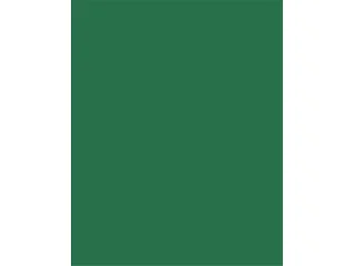 Színes papír, A3, 130 g, 50 lap, FOLIA, fenyőzöld