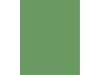 Színes papír, A3, 130 g, 50 lap, FOLIA, mohazöld