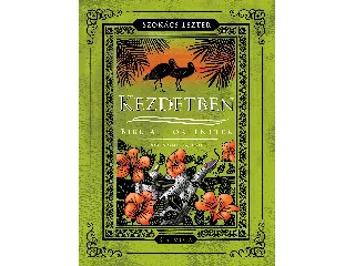 SZOKÁCS ESZTER: KEZDETBEN - BIBLIAI TÖRTÉNETEK