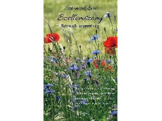 SZTANCSIK ÉVA: SZELLEMSZOMJ - BÚZAKÉK SZOMJÚSÁG