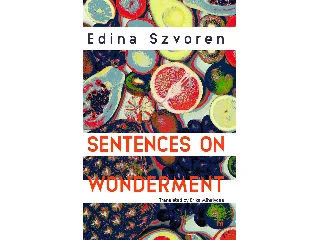 SZVOREN EDINA: SENTENCES ON WONDERMENT