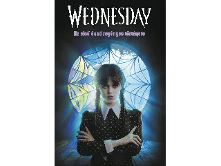 TEHLOR KAY MEJIA: WEDNESDAY - AZ ELSŐ ÉVAD REGÉNYES TÖRTÉNETE