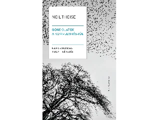 THEISE, NEIL: GONDOLATOK A KOMPLEXITÁSRÓL - KAPCSOLÓDÁS, TUDAT, LÉTEZÉS