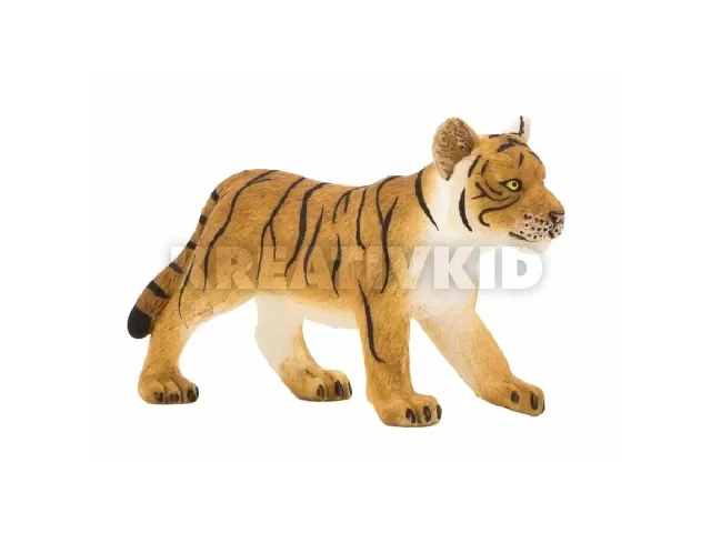 Tigris kölyök álló S