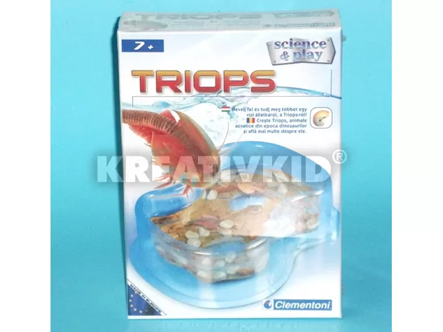 Triops 2011