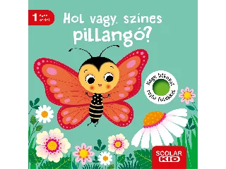 TÜNNER, KLARA: HOL VAGY, SZÍNES PILLANGÓ? - NAGY, TITKOKAT REJTŐ FÜLEKKEL