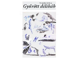 TURBÓK ATTILA: GYŰRÖTT DÉLIBÁB