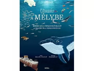 Utazás a mélybe - A felszíntől a tengerfenékig