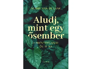VAN DE LAAR, MERIJN: ALUDJ, MINT EGY ŐSEMBER A PIHENTETŐ ALVÁS ŐSI TITKA