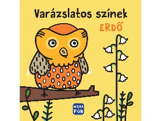 VARÁZSLATOS SZÍNEK - ERDŐ - PANCSOLÓKÖNYV